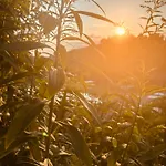Cascina Burroni Casa vacanze *