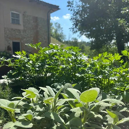 Cascina Burroni Semesterbostad