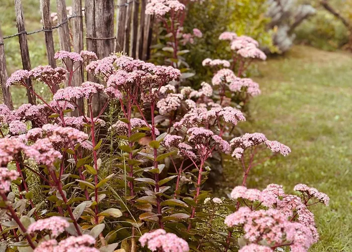 Holiday home Cascina Burroni