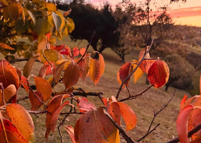 Cascina Burroni Holiday home Lerma