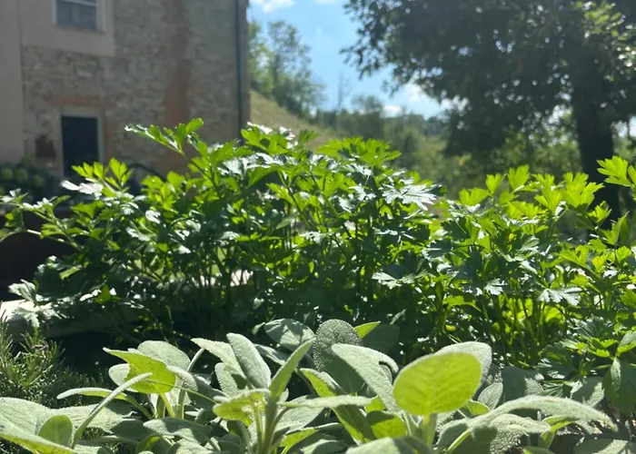 Cascina Burroni Holiday home