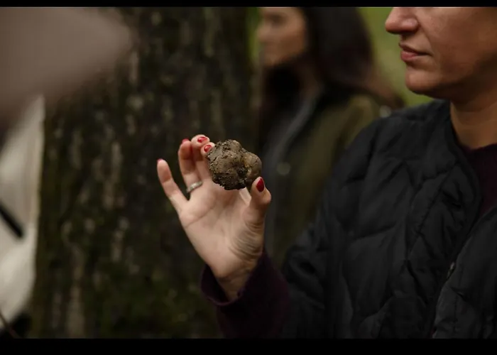 Cascina Burroni Holiday home Lerma