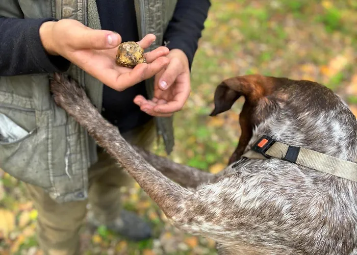Holiday home Cascina Burroni