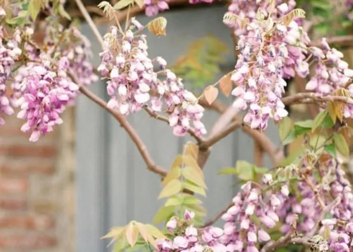 Holiday home Cascina Burroni Lerma