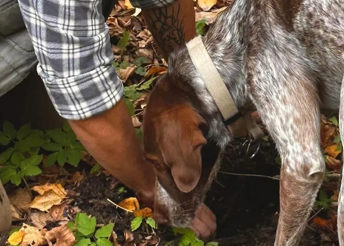 Cascina Burroni Holiday home *