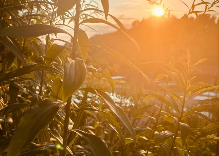 Cascina Burroni Holiday home *