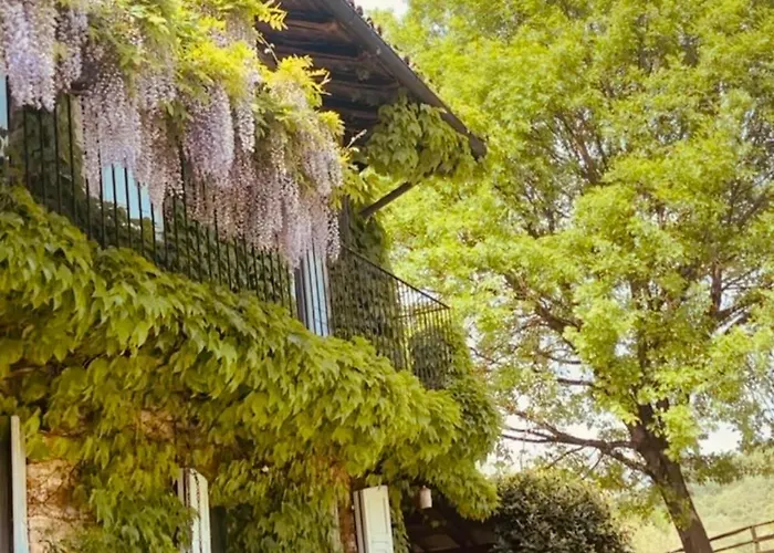 Cascina Burroni Lerma